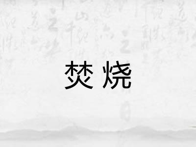 焚烧