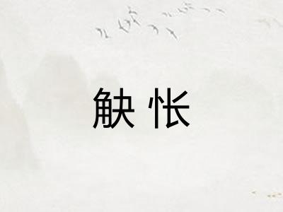 觖怅