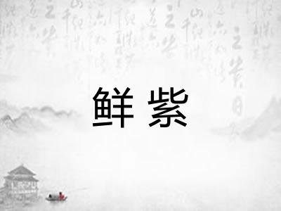 鲜紫