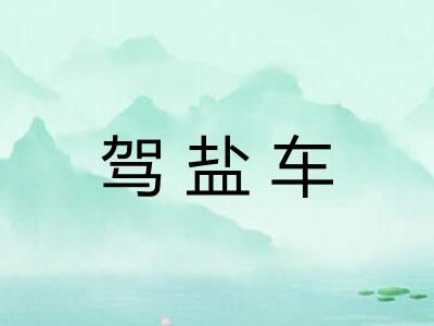 驾盐车