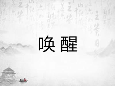 唤醒
