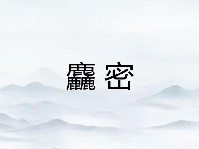 麤密