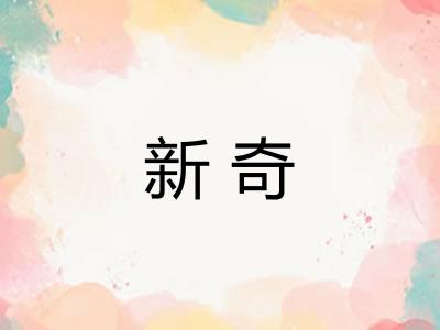 新奇