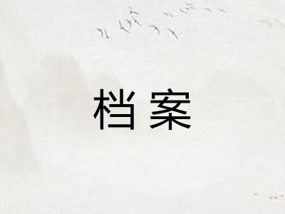 档案