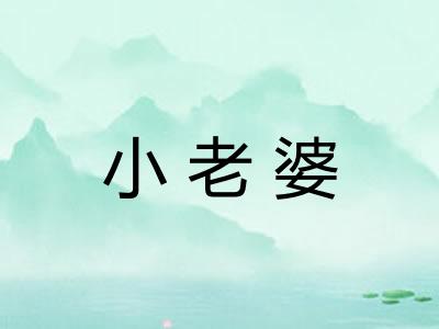 小老婆