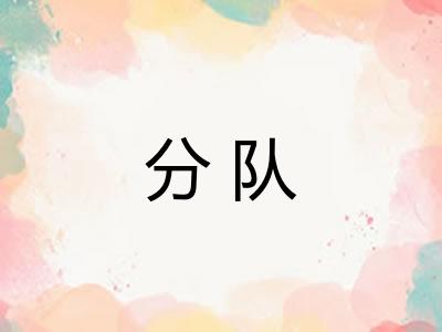 分队
