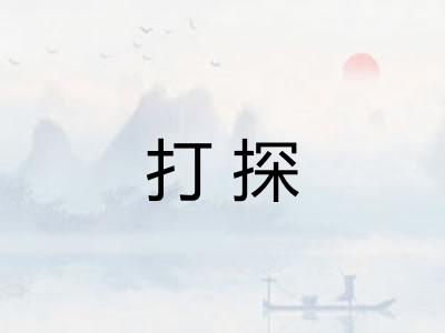 打探