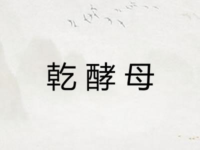 乾酵母