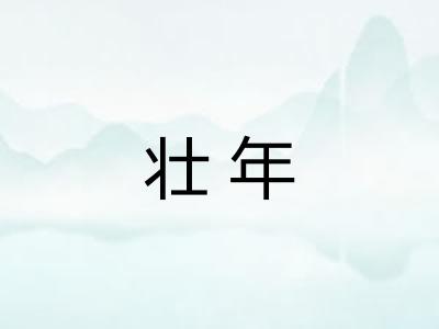 壮年