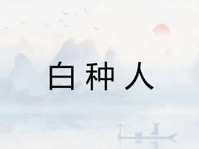 白种人