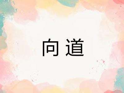 向道