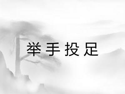 举手投足