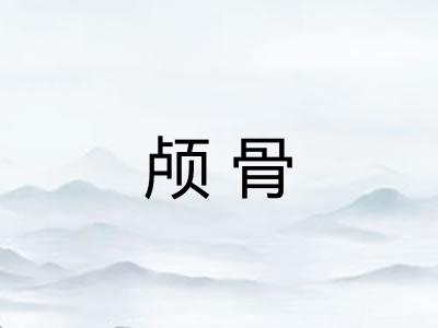 颅骨