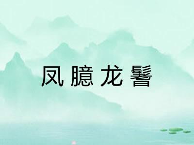 凤臆龙鬐