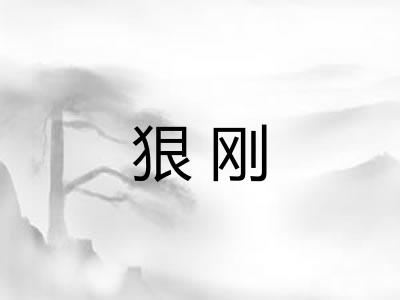 狠刚