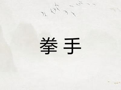 拳手