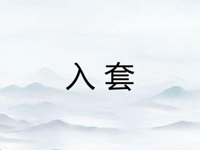 入套