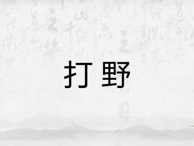 打野