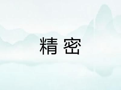 精密