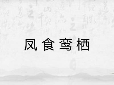 凤食鸾栖