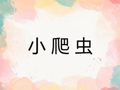 小爬虫