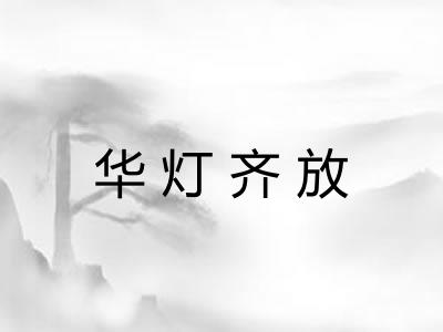 华灯齐放