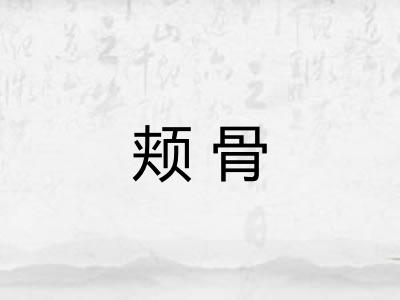 颊骨
