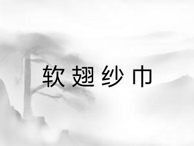 软翅纱巾