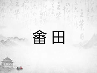 畬田