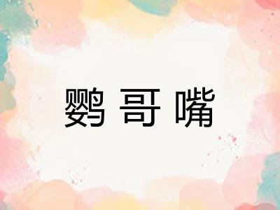 鹦哥嘴