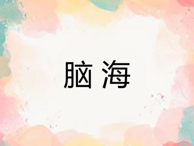脑海