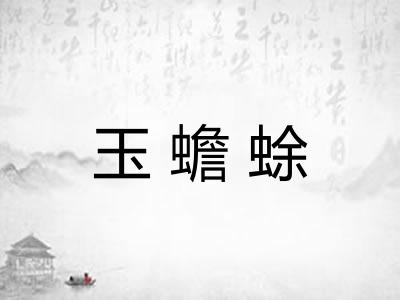 玉蟾蜍