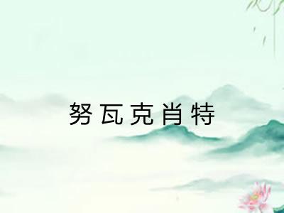 努瓦克肖特