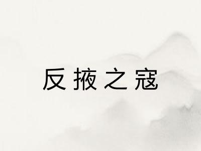 反掖之寇