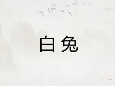 白兔