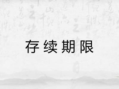 存续期限