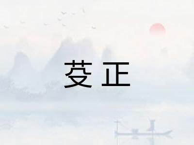 芟正