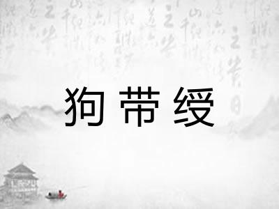 狗带绶