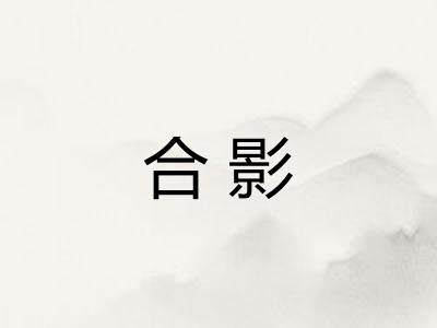 合影