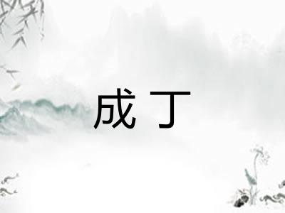 成丁