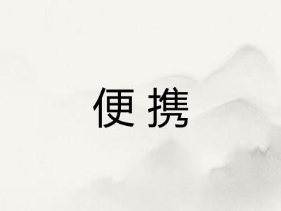 便携