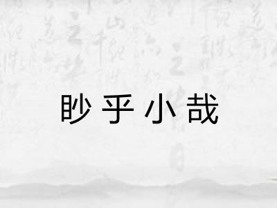 眇乎小哉