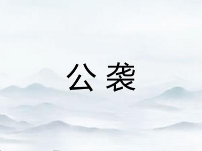 公袭