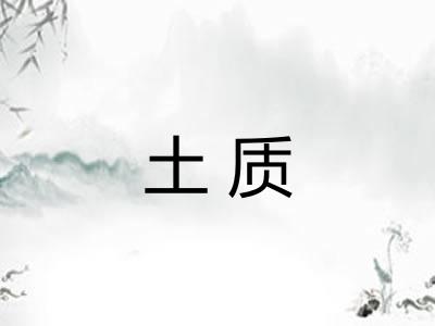 土质