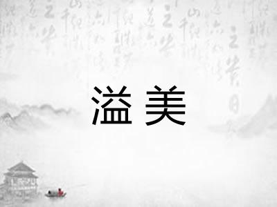 溢美