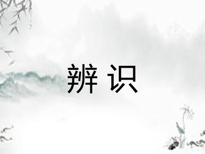 辨识