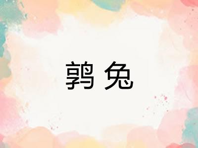 鹑兔
