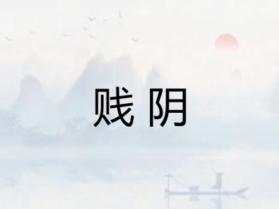 贱阴
