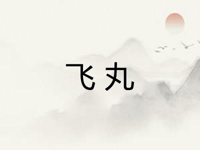 飞丸