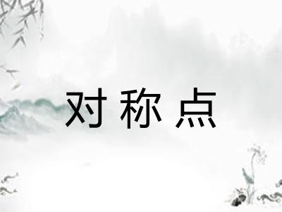 对称点